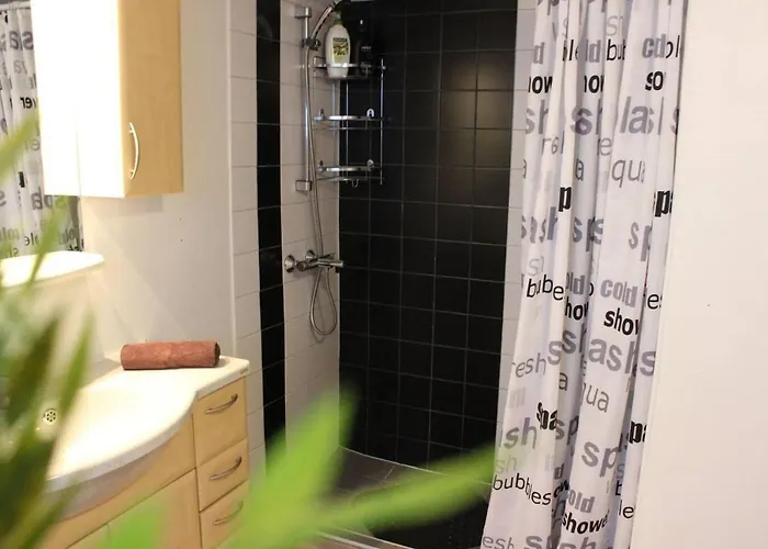 Appartement Nicolas 1 & Cozy 2 *