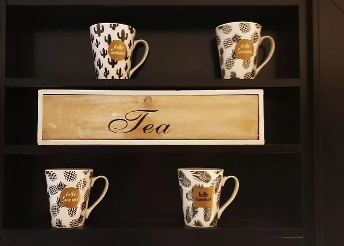 Nicolas 1 & Cozy 2 Stavanger