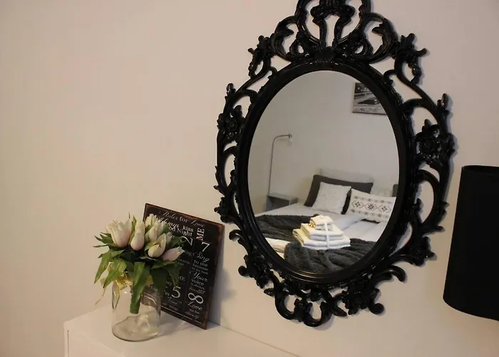 Nicolas 1 & Cozy 2 * 스타방에르